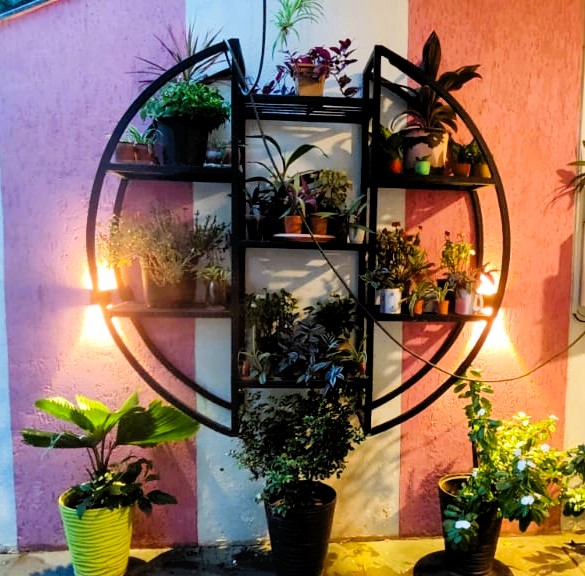 Wall-mounted planter structure for a green wall